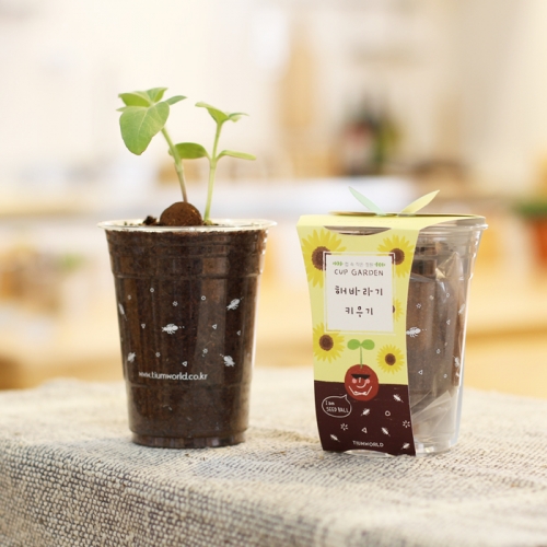 컵가든_미니해바라기 키우기세트