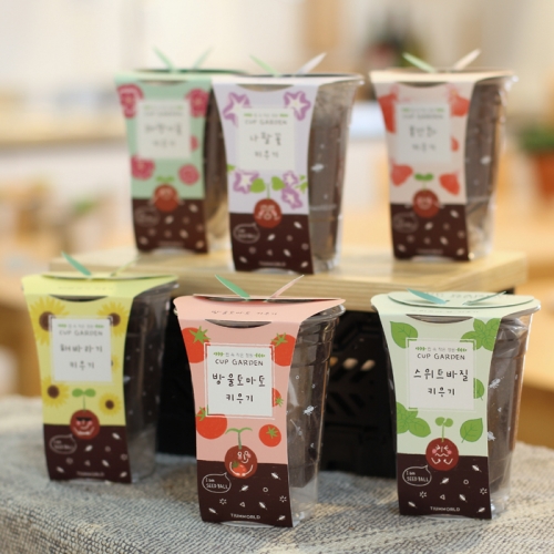 컵가든_미니해바라기 키우기세트