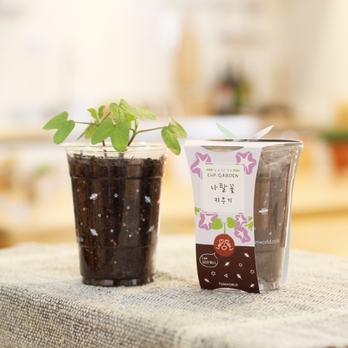 컵가든_나팔꽃 키우기세트