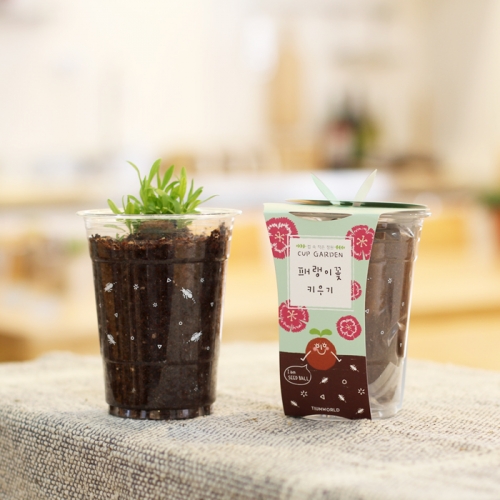 컵가든_패랭이꽃 키우기세트