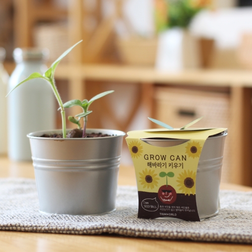 new그로우캔_미니해바라기 키우기세트