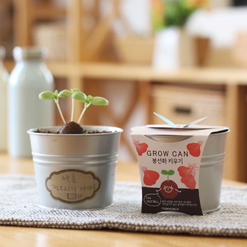 new그로우캔_봉선화 키우기세트