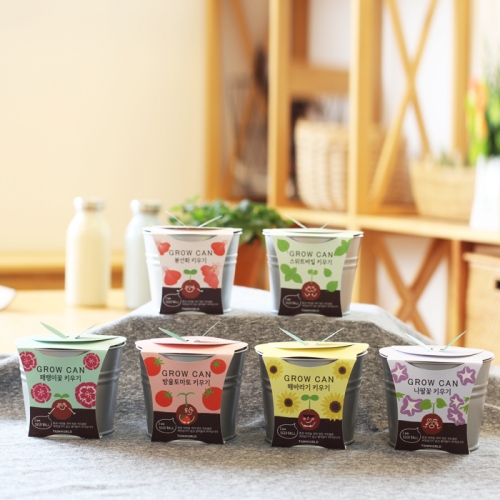 new그로우캔_패랭이꽃 키우기세트