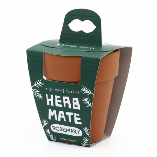 내 곁의 반려식물 허브메이트_로즈마리 키우기세트