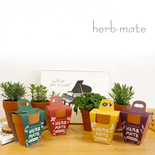 내 곁의 반려식물 허브메이트_라벤더 키우기세트