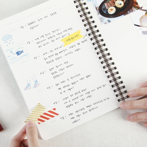 만년 다이어리 - MINT