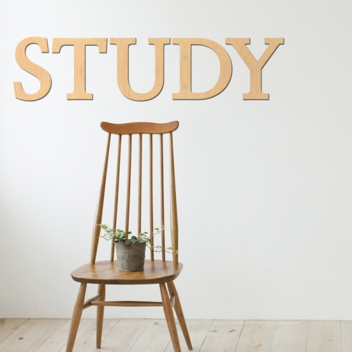 우드스티커- STUDY (반제품) 레터링 글자 W473 입체/ 반제품(우드)