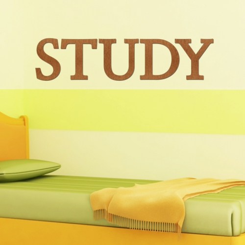 우드스티커- STUDY (컬러완제) 레터링 글자 W474 입체