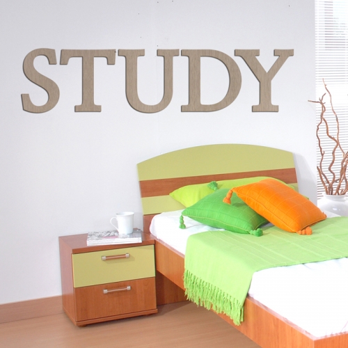 우드스티커- STUDY (컬러완제) 레터링 글자 W474 입체