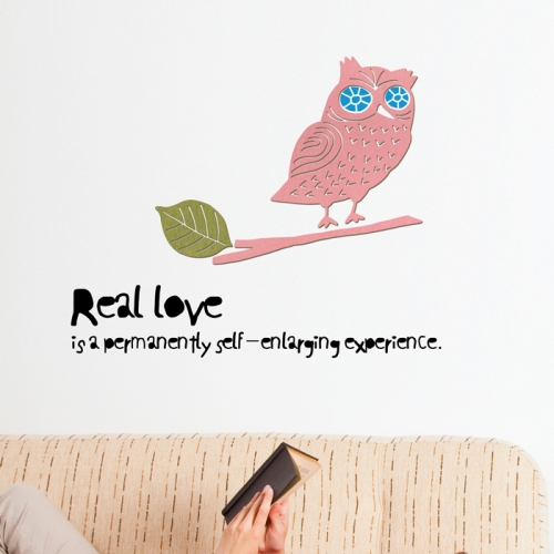 우드스티커- 부엉이 (컬러완제) 캐릭터 W502 포인트