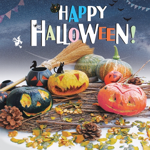 [탑키드] 할로윈데이 현수막B(2x1.2m)