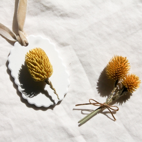 노란 천일홍 1단