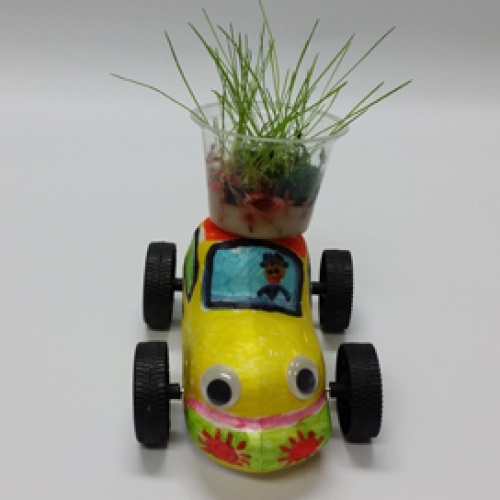 식물 (친환경) 자동차 / 1인