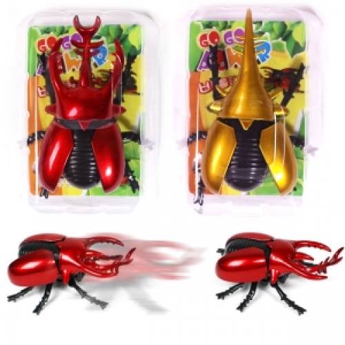 2000고고파워비틀킹 [B-7]