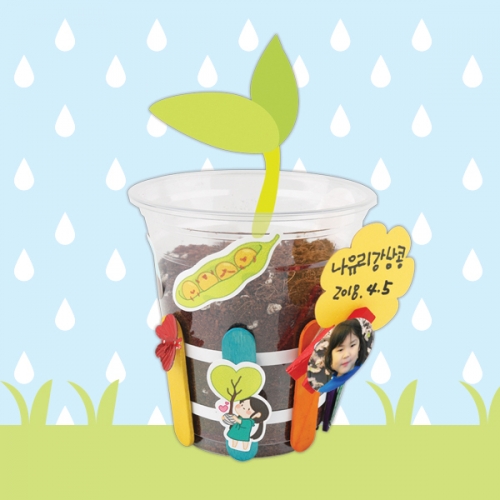 화분꾸미기-강낭콩(5인용)