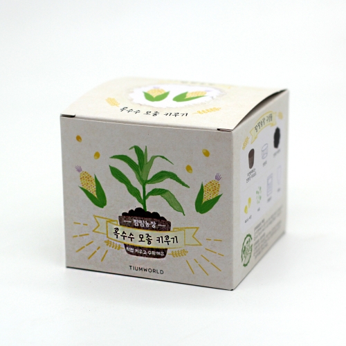 팜팜농장_옥수수 키우기