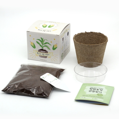 팜팜농장_옥수수 키우기