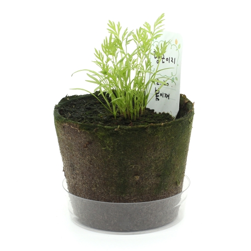 팜팜농장_당근 키우기