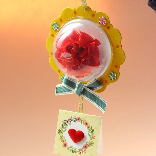 도일리 카네이션5set