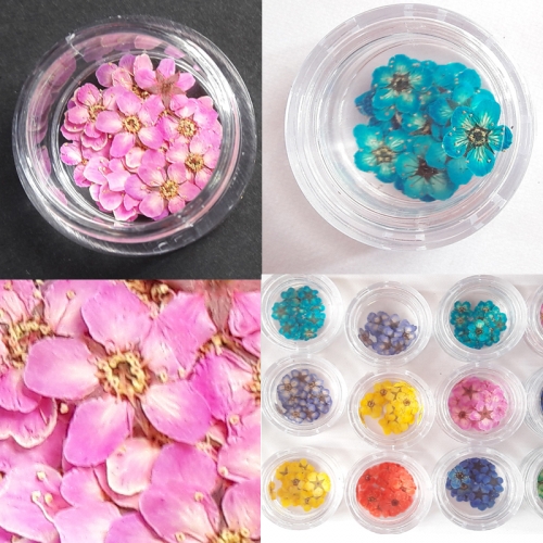 누름꽃재료/조팝꽂 레드20p/레진공예 네일아트 파츠 꽃소재