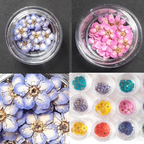 누름꽃재료/조팝꽂 레드20p/레진공예 네일아트 파츠 꽃소재