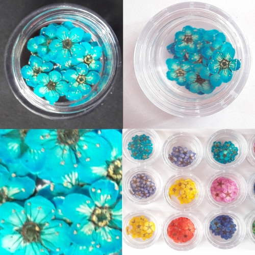 누름꽃재료/조팝꽂 레드20p/레진공예 네일아트 파츠 꽃소재