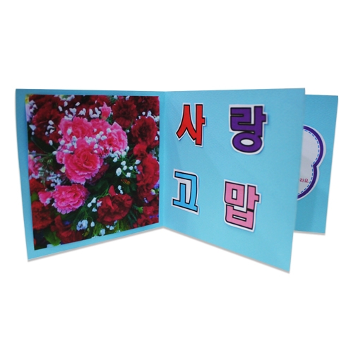 [감성쫑이/북아트] 카네이션 꽃말 핸드북