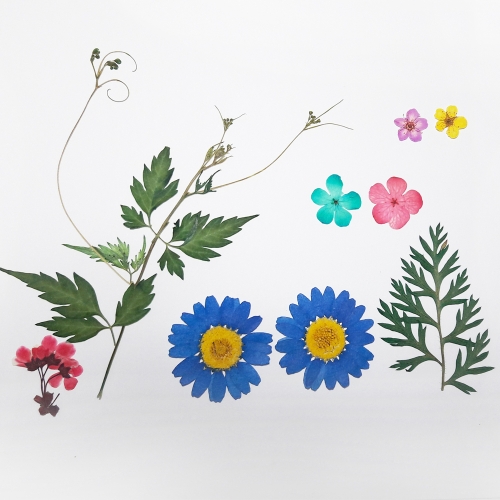 압화 누름꽃/압화 체험 꽃팩 _JPS-1