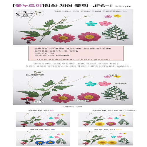 압화 누름꽃/압화 체험 장미꽃팩 _JPS-2