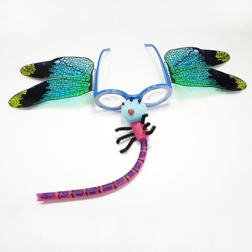 곤충눈 잠자리안경