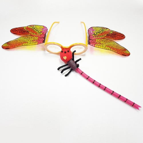 곤충눈 잠자리안경