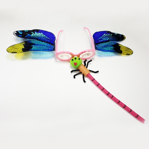 곤충눈 잠자리안경