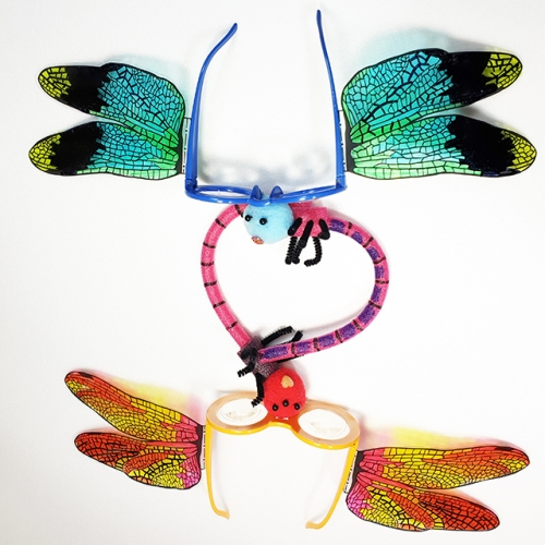 곤충눈 잠자리안경