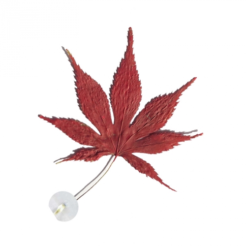 단풍잎책갈피만들기/꽃누르미압화책갈피