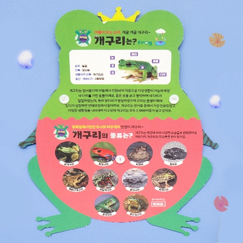 [하하당] 북아트 - 개구리북 만들기