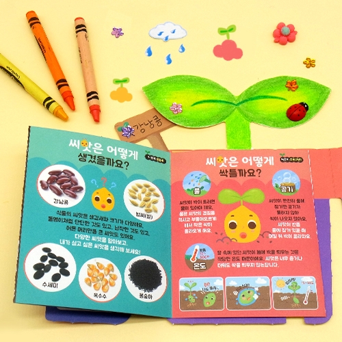 [하하당] 북아트 - 씨앗북 만들기