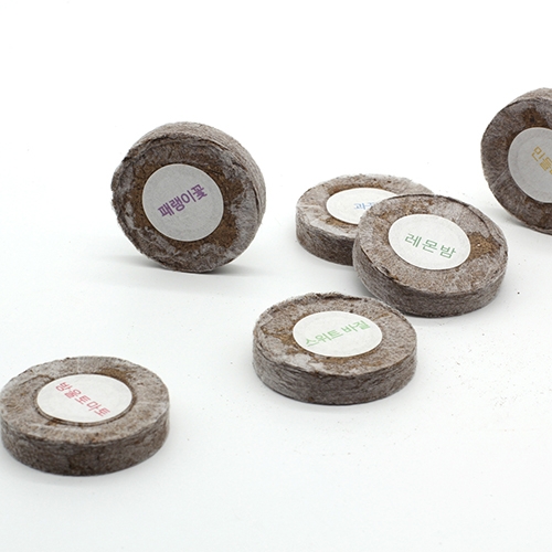 (아이디어씨앗) 씨드쿠키_방울토마토