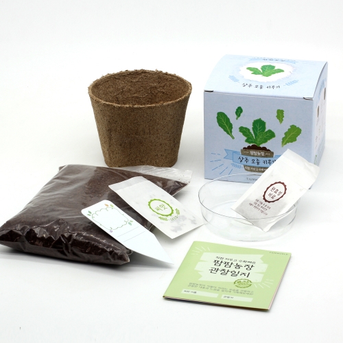 팜팜농장_상추 키우기