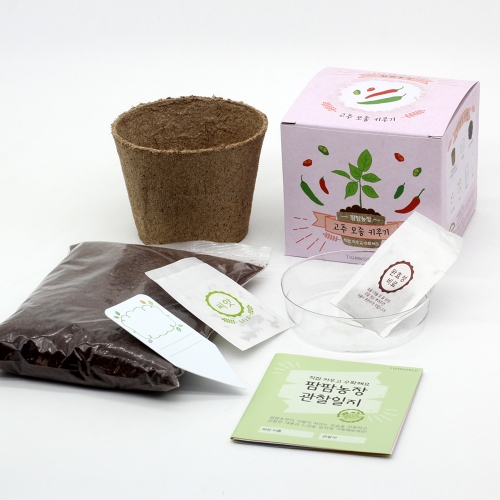 팜팜농장_고추 키우기