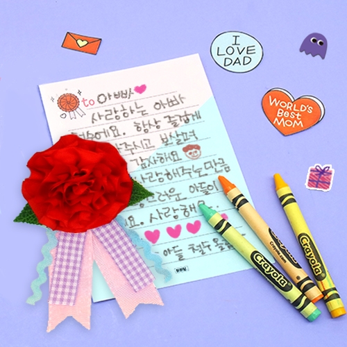 [하하당] 카네이션 브로치 5set