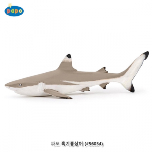 [파포] 흑기흉상어 (616PP56034)