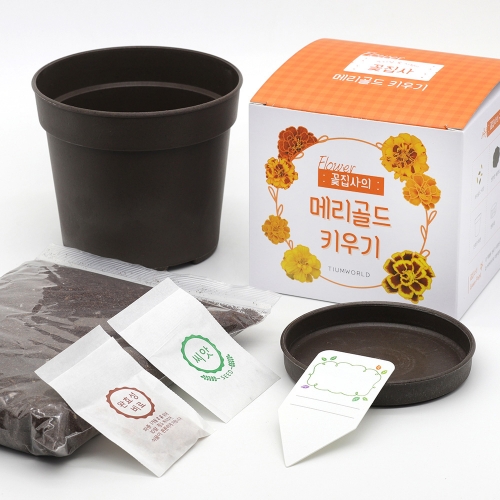 (우리집 정원가꾸기)꽃집사 - 메리골드 키우기