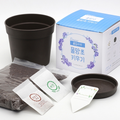 (우리집 정원가꾸기)꽃집사 - 물망초 키우기