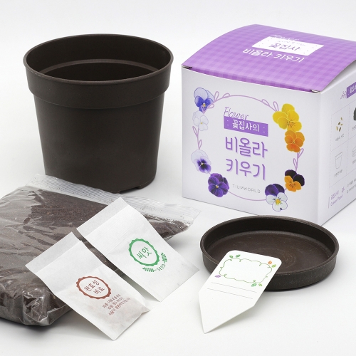 (우리집 정원가꾸기)꽃집사 - 비올라 키우기
