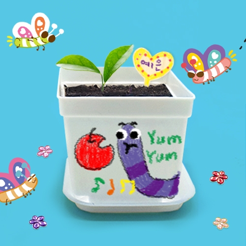 [하하당] 나만의 화분 5set (씨앗 포함)