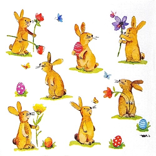 냅킨 Napkin 296(2장)