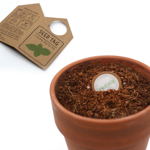 씨앗과 미니카드의 만남 - 씨드택 4종세트