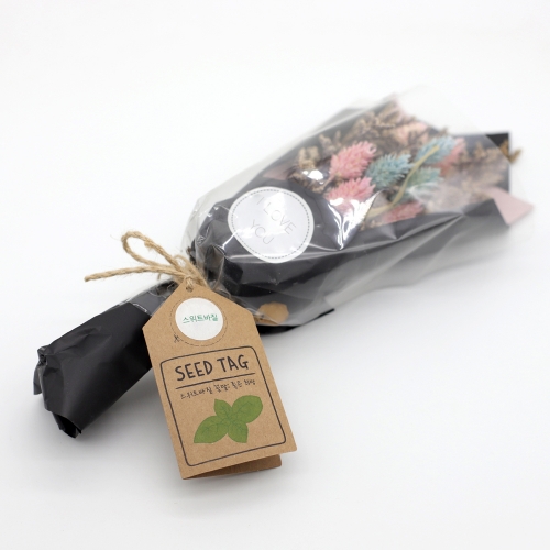 씨앗과 미니카드의 만남 - 씨드택 4종세트