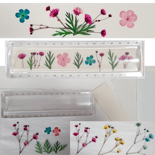 [만들기]압화 야생화 아크릴자패키지c-a/야생화패키지