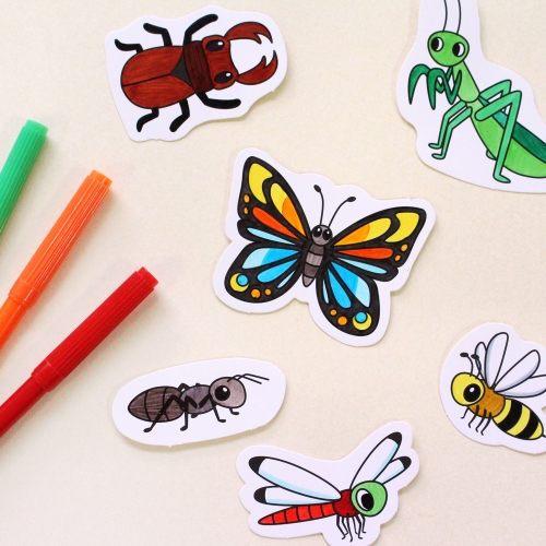 컬러링 곤충관찰 5set